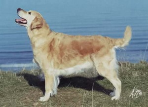 Candy, 10 years