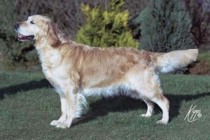 Freda, 8 years