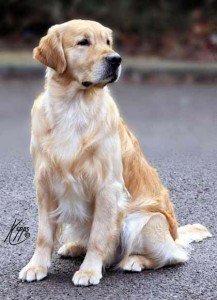 Oliver